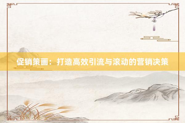 促销策画：打造高效引流与滚动的营销决策