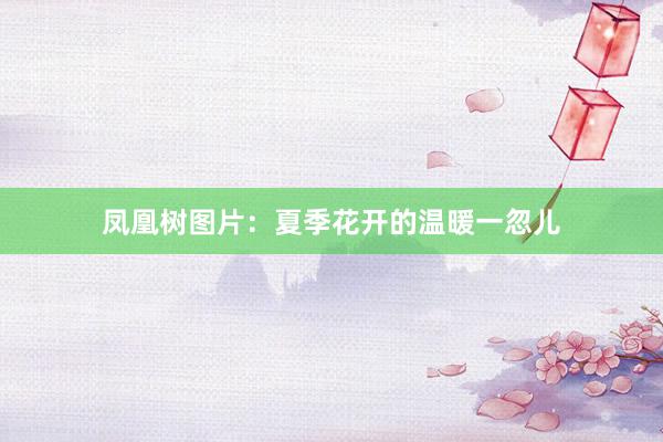 凤凰树图片：夏季花开的温暖一忽儿
