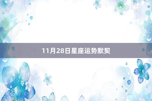 11月28日星座运势默契