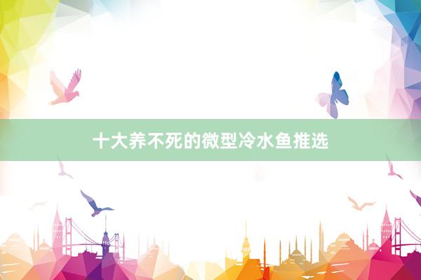 十大养不死的微型冷水鱼推选