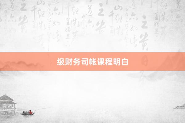 级财务司帐课程明白